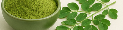 Moringa powder and fresh leaves in warm daylight